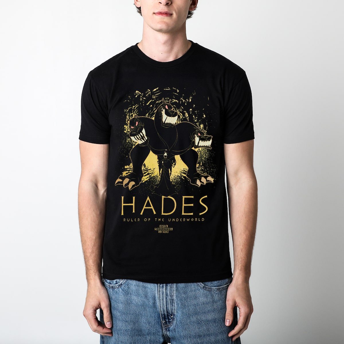 Man in a black tee with an Illustration of a three-headed dog with a shadowy figure, hades, in front of it, set against an abstract background.
