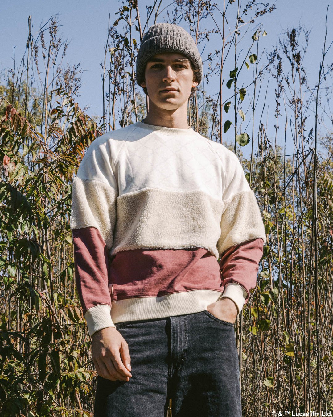 Leia Sherpa Crew Sweatshirt