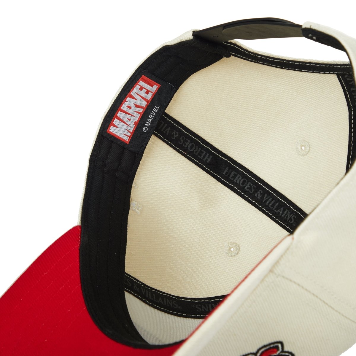 The Amazing Spider-Man Snapback Hat