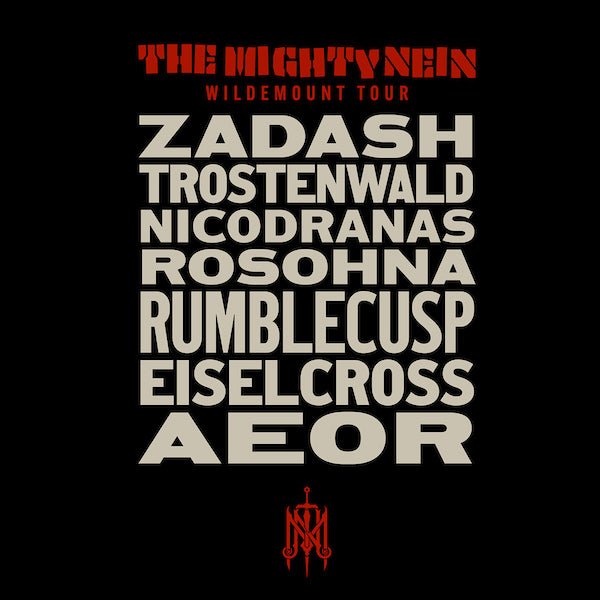 Mighty Nein Wildemount Tour Black Tee