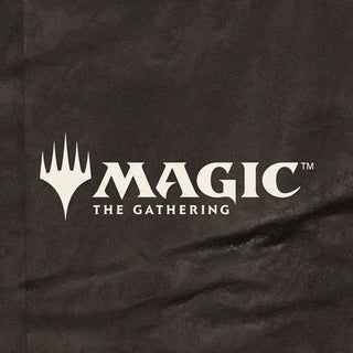 Magic The Gathering - Heroes & Villains