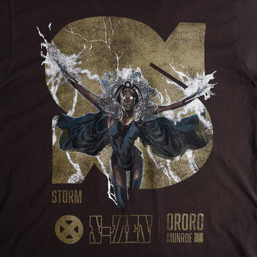 Graphic with Storm from X-Men in front of a large "S"