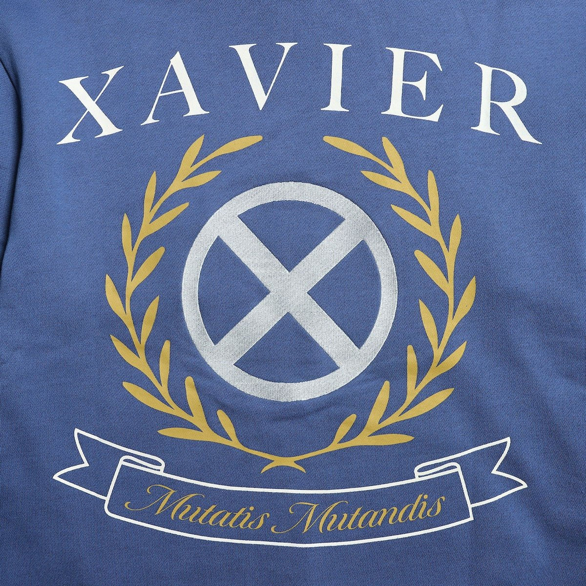 Blue Hoodie Close Up with 'Xavier' and a symbol on a blue background