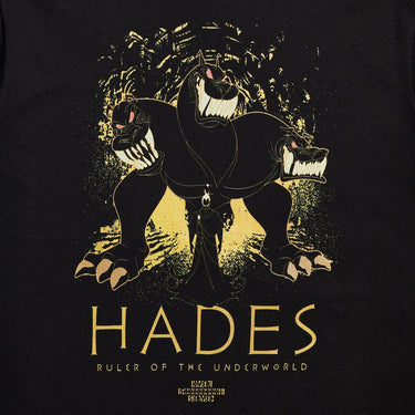 Illustration of a three-headed dog with a shadowy figure, Hades, in front of it, set against an abstract background.