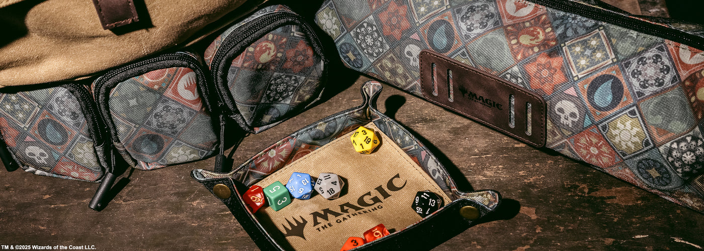 a dice in a bag