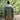Star Wars Mandalorian Shacket