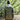 Star Wars Mandalorian Shacket