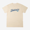 Nightwing Logo Classic Comfort Tee - Heroes & Villains-DC Comics-T-Shirt