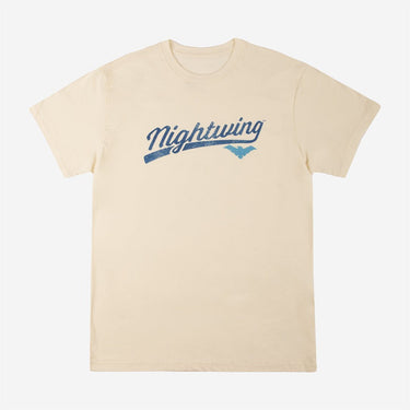 Nightwing Logo Classic Comfort Tee - Heroes & Villains-DC Comics-T-Shirt