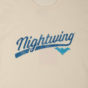 Nightwing Logo Classic Comfort Tee - Heroes & Villains-DC Comics-T-Shirt
