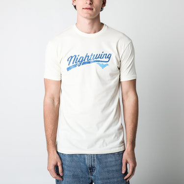 Nightwing Logo Classic Comfort Tee - Heroes & Villains-DC Comics-T-Shirt