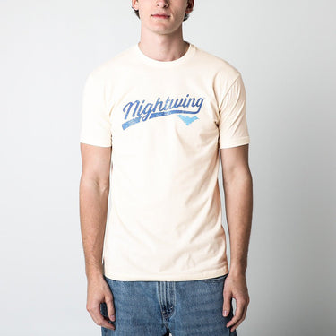 Nightwing Logo Classic Comfort Tee - Heroes & Villains-DC Comics-T-Shirt