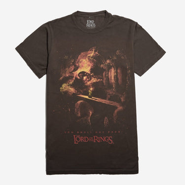 The Lord of the Rings You Shall Not Pass Zine Tee