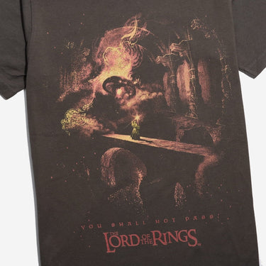 The Lord of the Rings You Shall Not Pass Zine Tee
