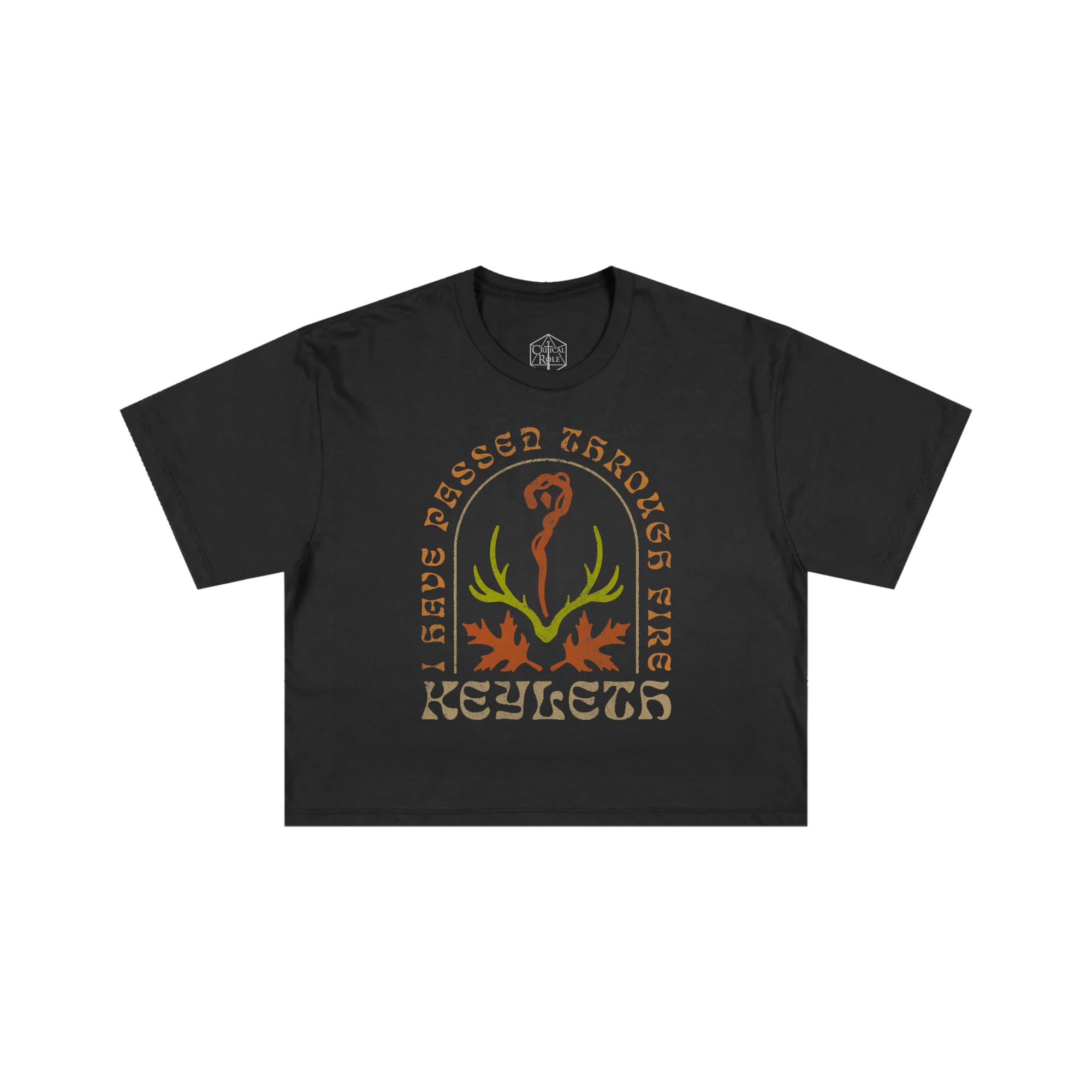 Keyleth Gray Cropped Tee