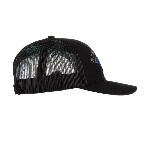 Nightwing Trucker Hat