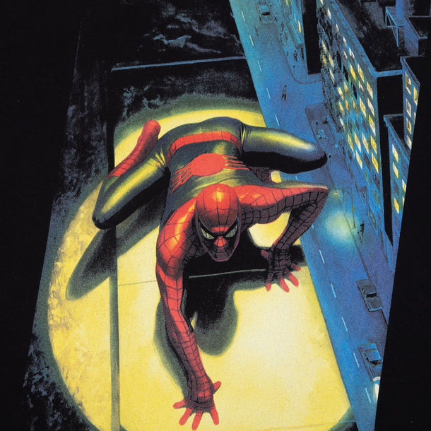 Marvel Spectacular Spider-Man, Vol 1 #300 Black Tee