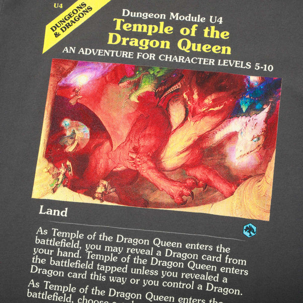 Magic: The Gathering x Dungeons & Dragons Temple of the Dragon Queen Charcoal Tee
