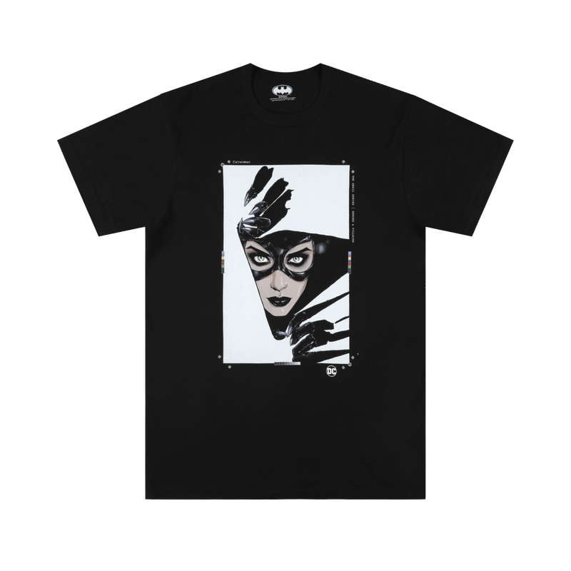 Catwoman Heroes & Villains