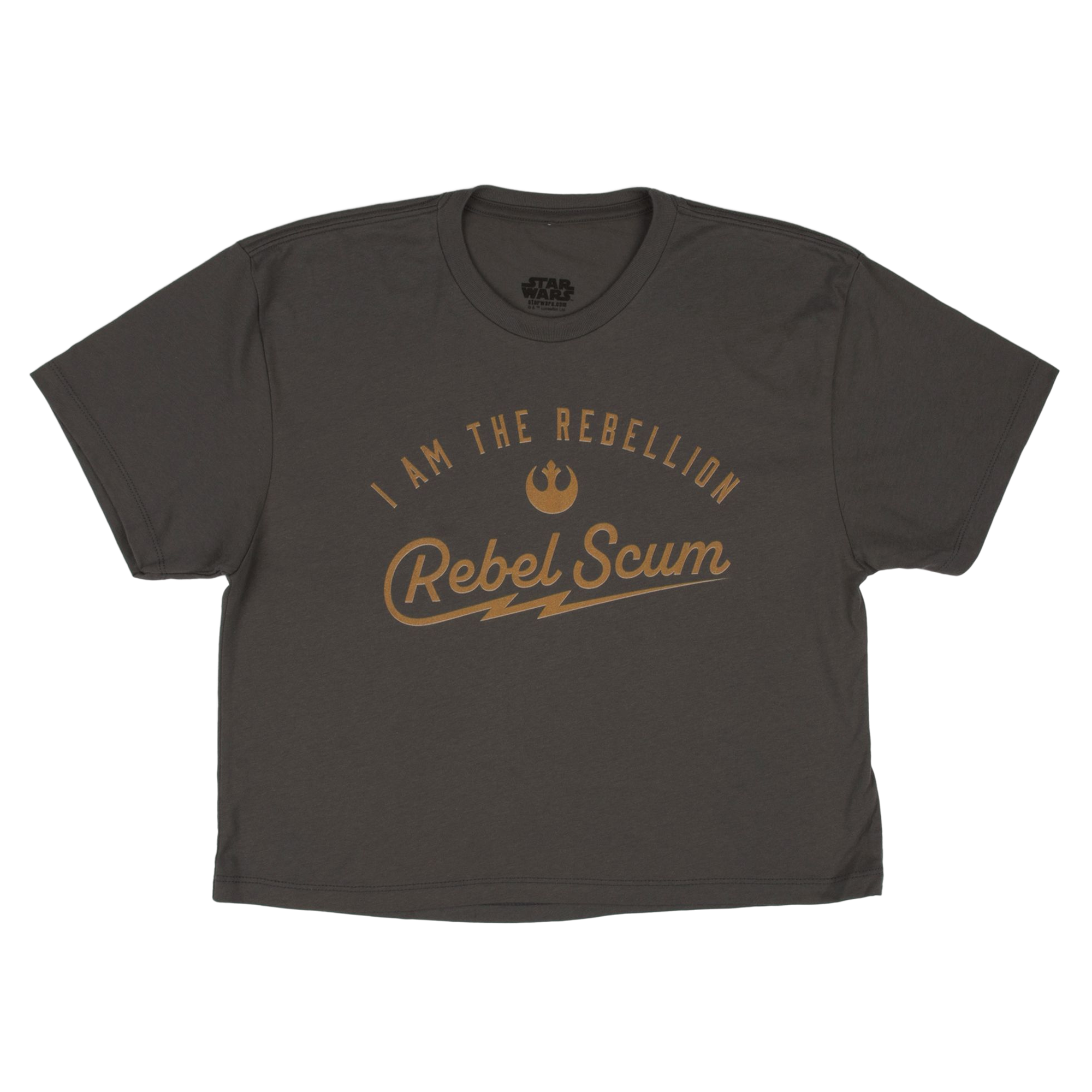 I Am The Rebellion Cropped Grey Tee