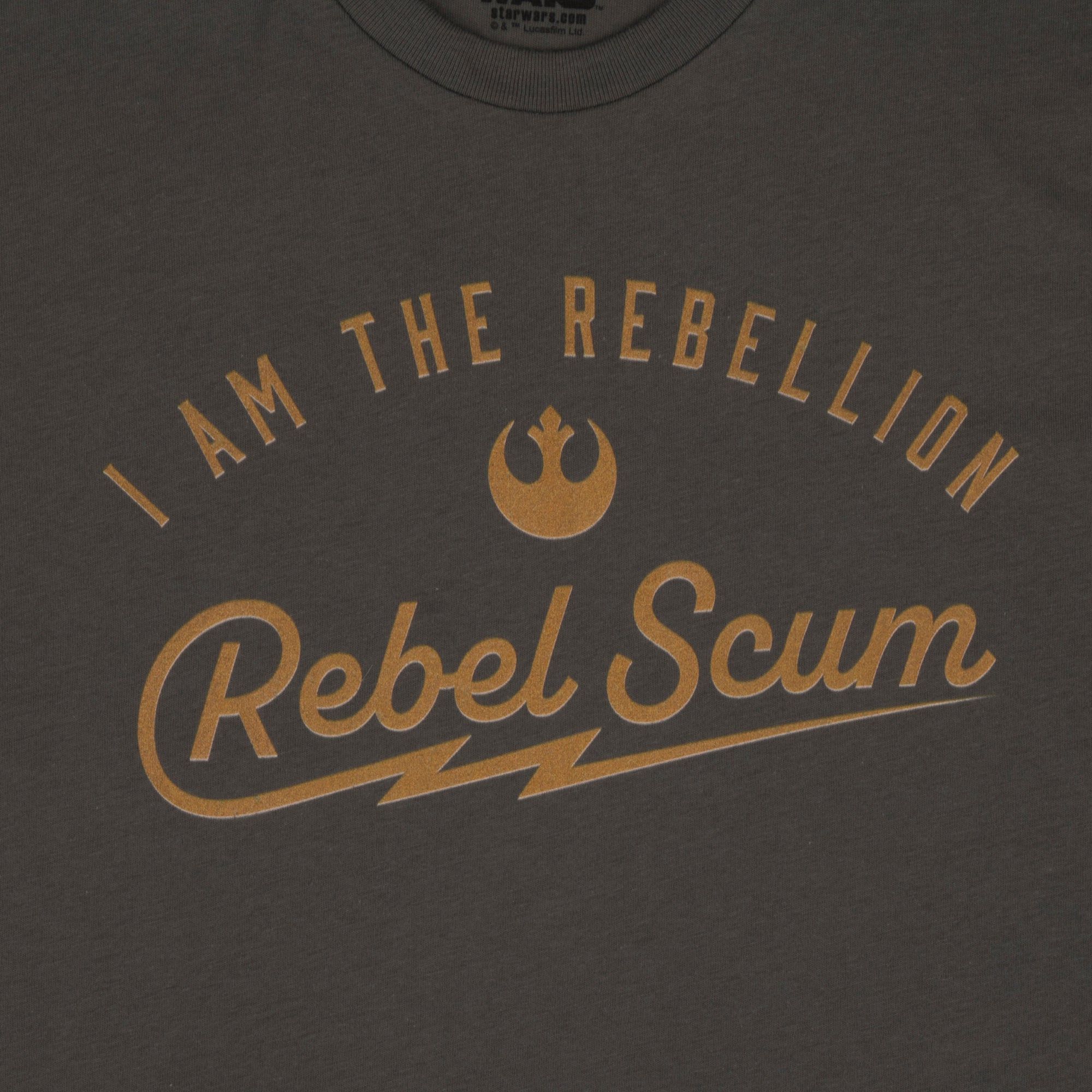 I Am The Rebellion Cropped Grey Tee